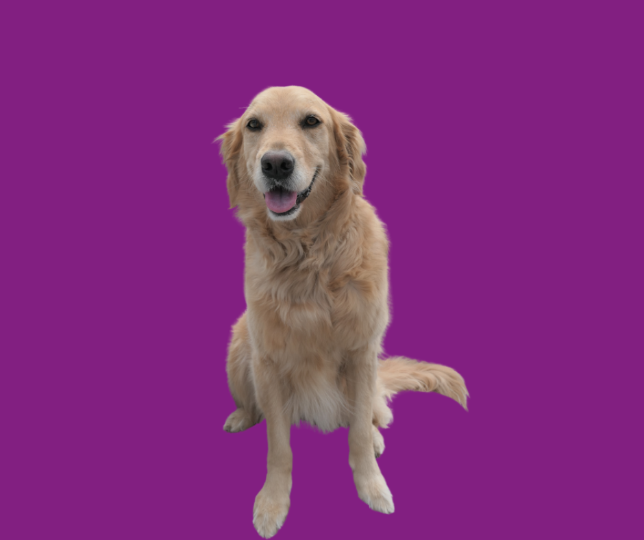 heidi fond mauve