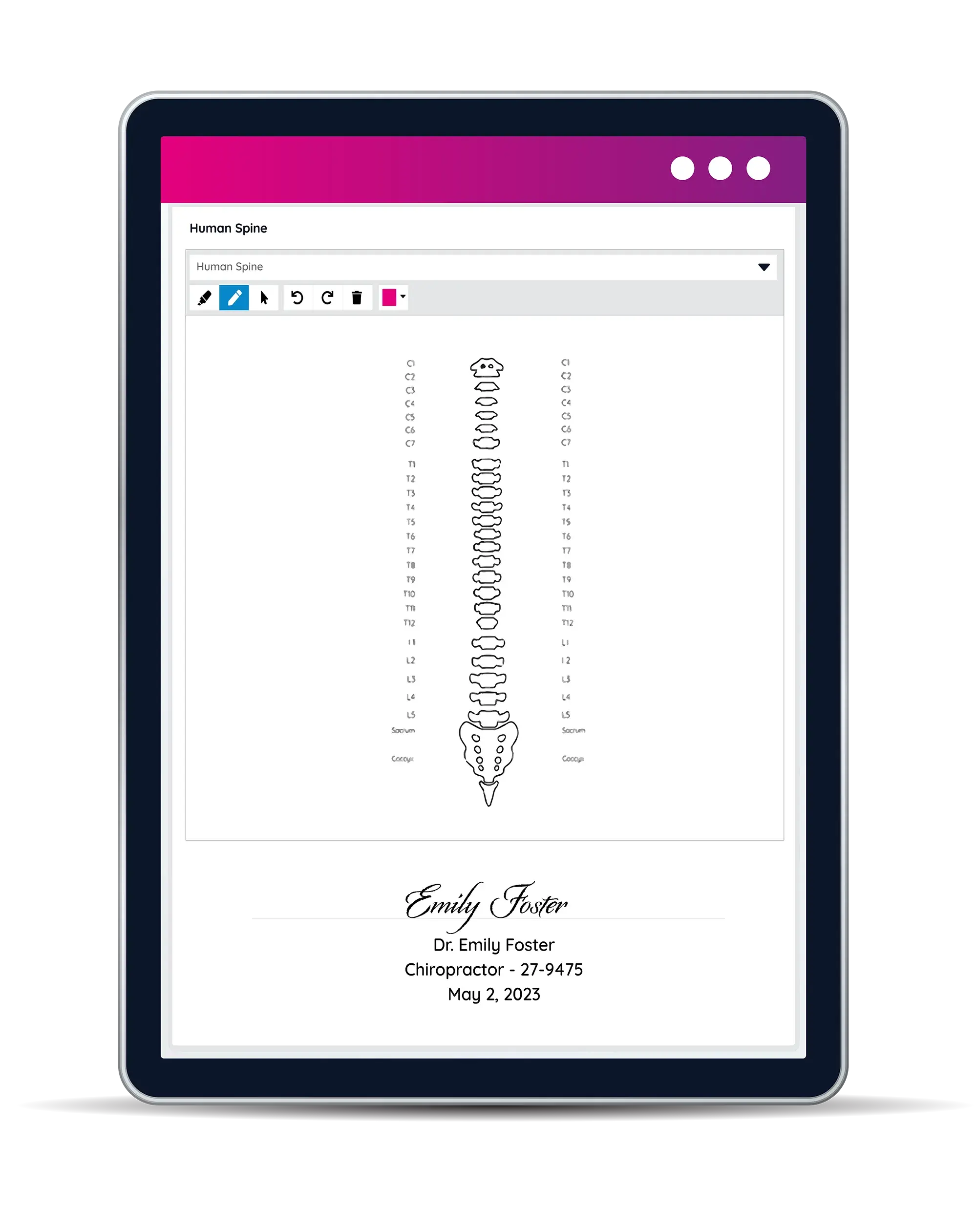 chiropractic notes charts files