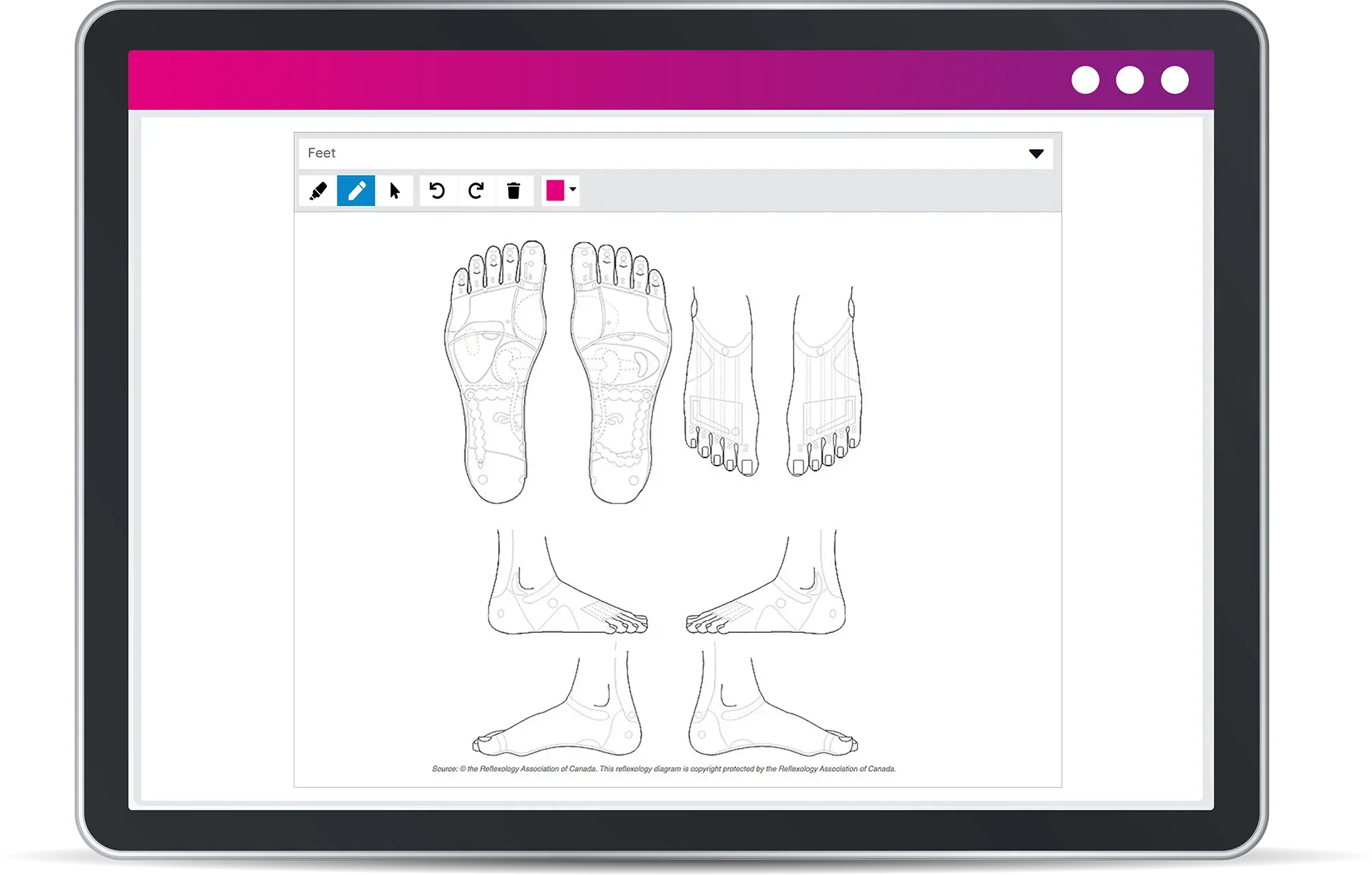 Reflexo feet template